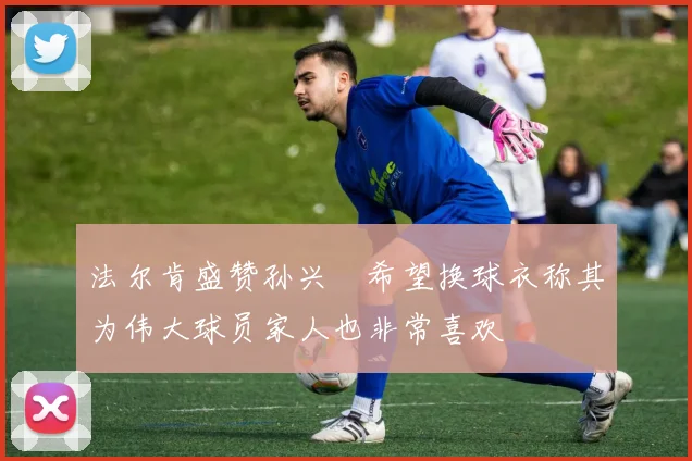 法尔肯盛赞孙兴慜希望换球衣称其为伟大球员家人也非常喜欢